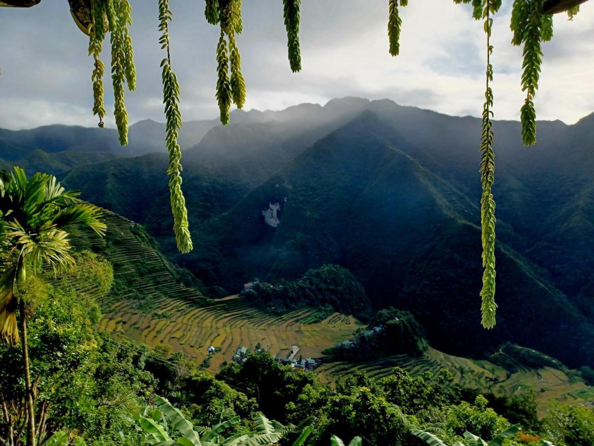 Batad Countryside Bed & Breakfast Banaue Ngoại thất bức ảnh